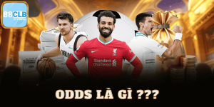 Tìm Hiểu Odds Là Gì